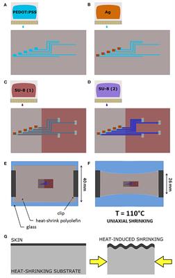 All-Polymer Printed Low-Cost Regenerative Nerve Cuff Electrodes